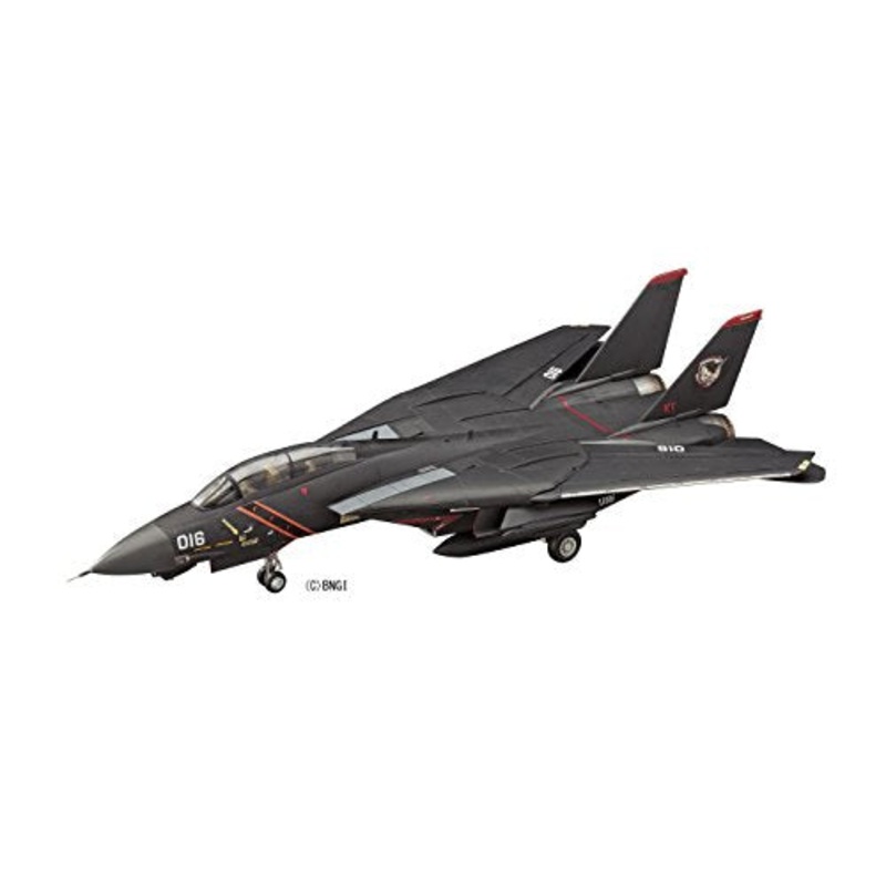 F-14A Tomcat (Razgriz Squadron version) - 1/72 scale - Creator Works Ace Combat 05: The Unsung War - Hasegawa