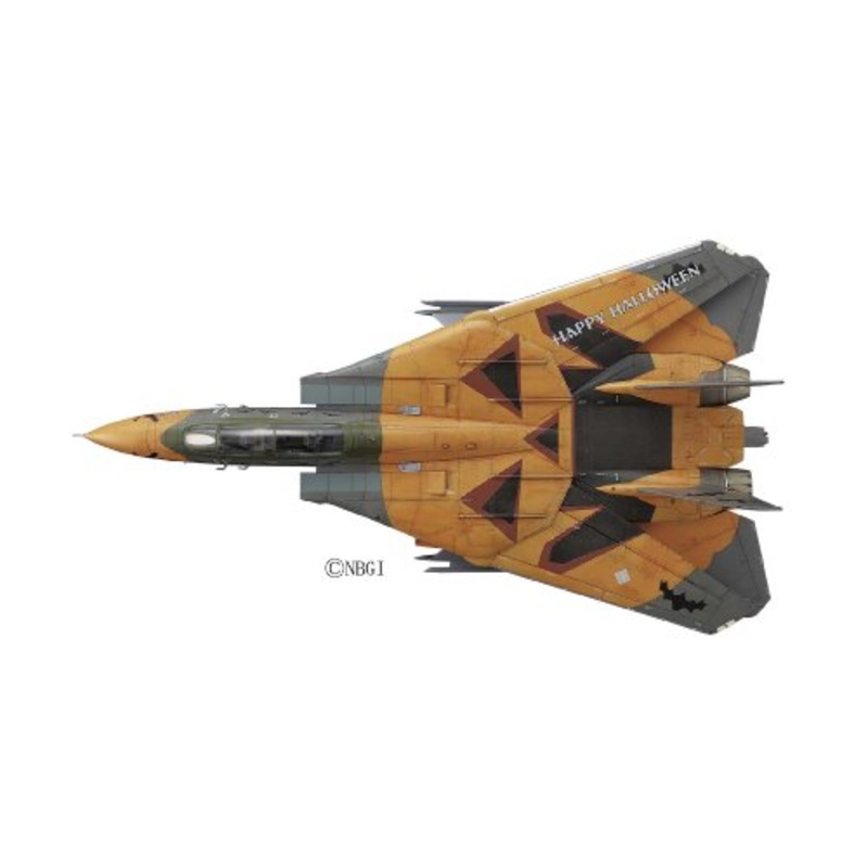 F-14D Tomcat (Pumpkin Face version) - 1/72 scale - Creator Works, Ace Combat 05: The Unsung War - Hasegawa