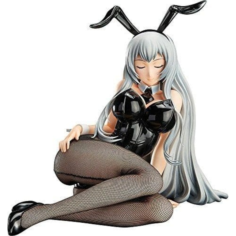 "Ikki Tousen  : Extravaganza Epoch" 1/4 B-style Chouun Shiryuu - FREEing