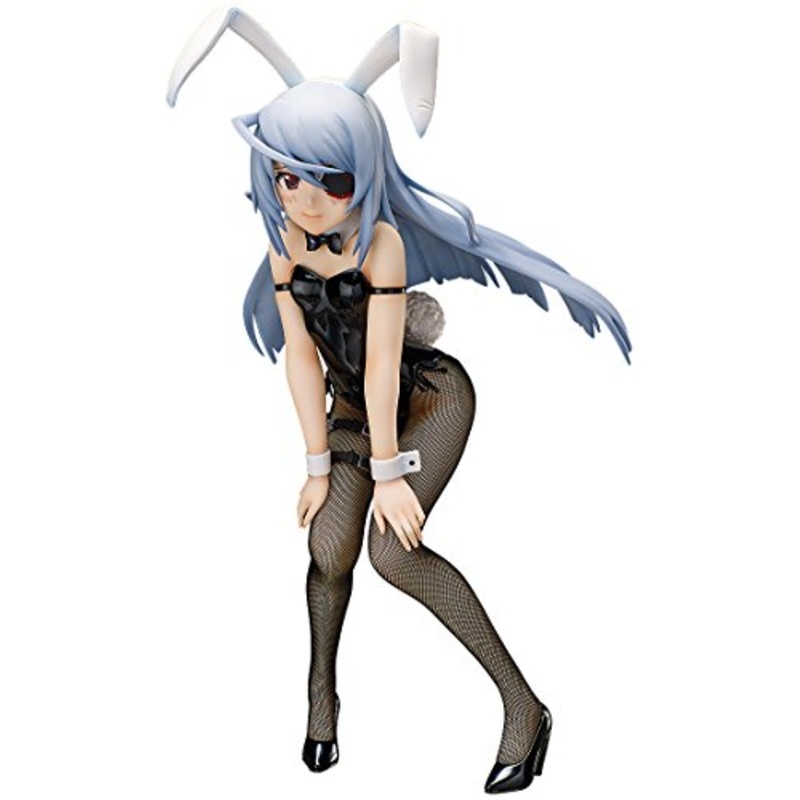 "IS: Infinite Stratos" 1/4 Laura Bodewig - FREEing