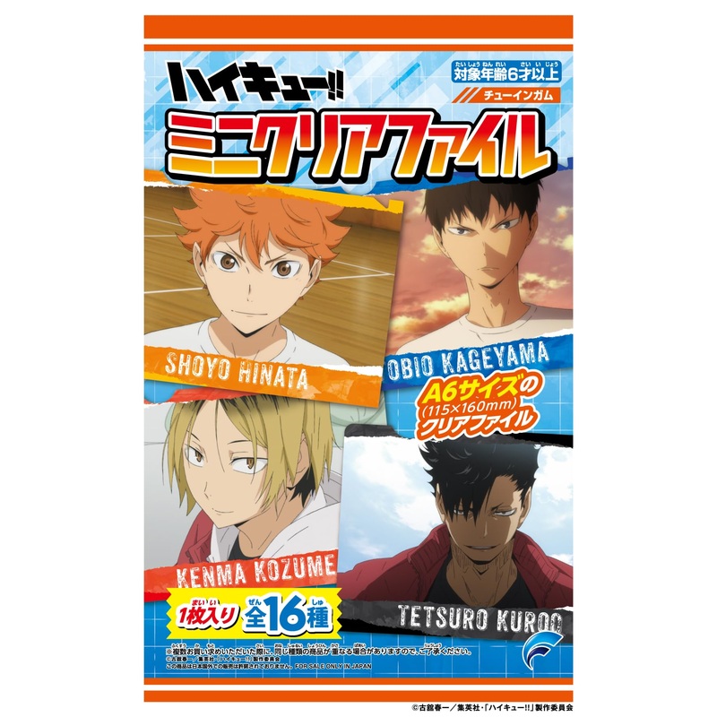 "Haikyu!!" Mini Clear File