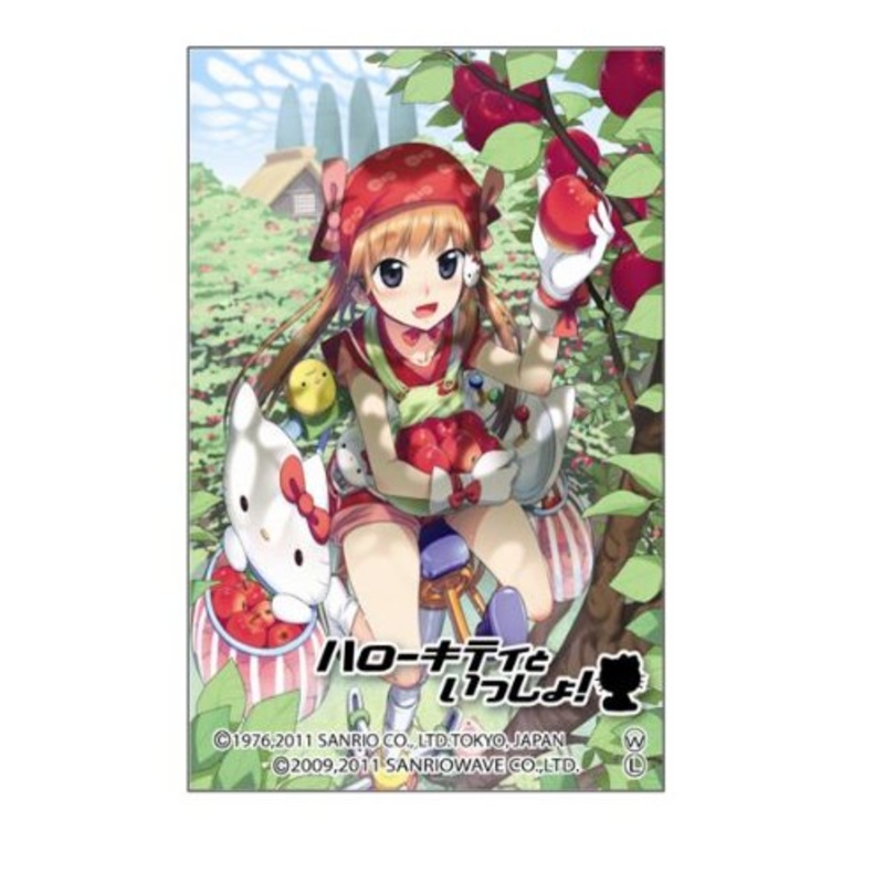Moe Sleeve Vol. 41 "Hello Kitty to Issho!" Yamamura Karina by Keito Koume