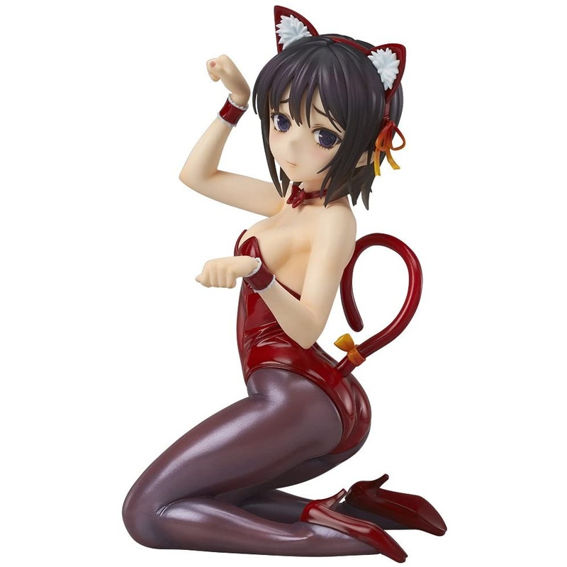 "Haganai: I Don't Have Many Friends NEXT" Mikazuki Yozora Cat Costume Ver.